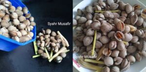 cara-rebus-kerang-tanpa-air-