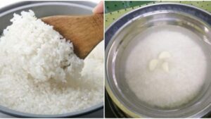 Petua-Supaya-Nasi-Lambat-Basi-Hanya-Letak-Satu-‘Bahan’-Ini-Masa-Masak-Nasi-678x381