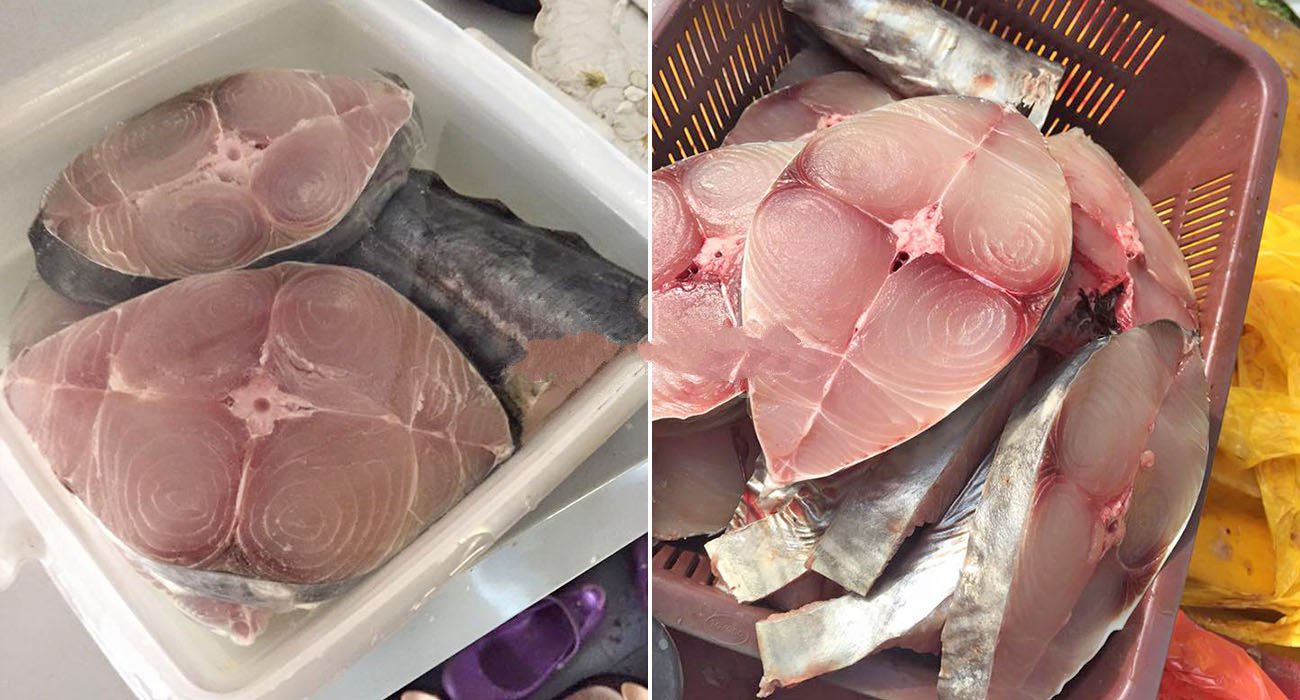 cara-betul-simpan-ikan-10