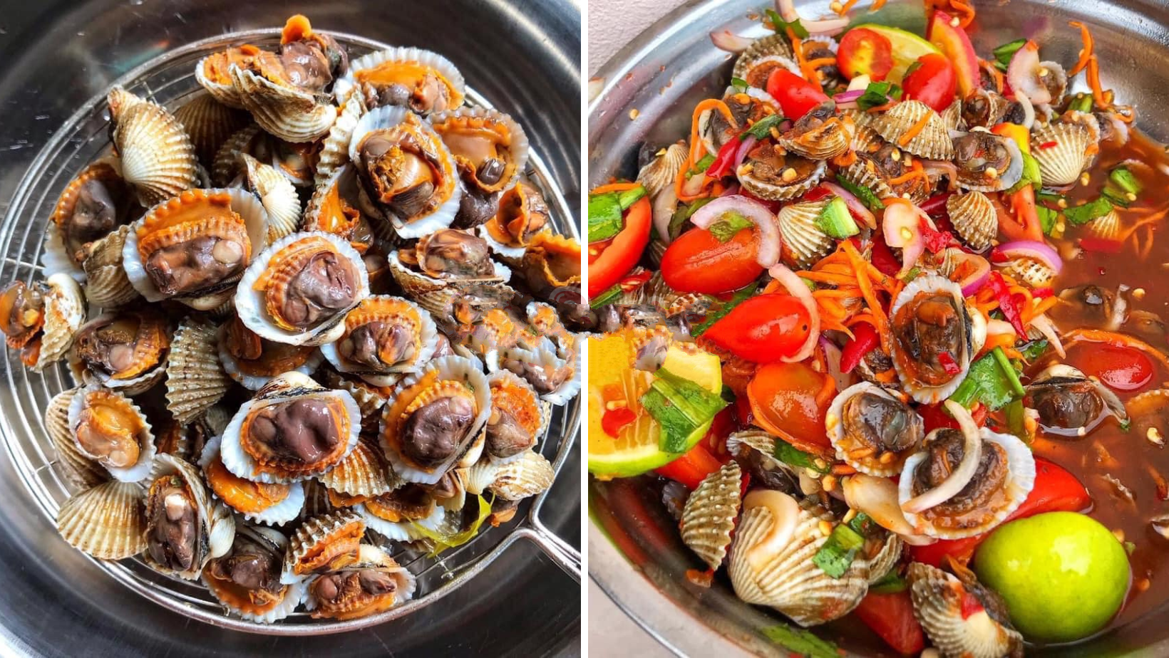feature-image-kerang