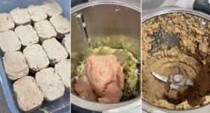 kiub-pati-ayam-homemade-