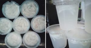 cara-buat-kelapa-jelly--1024x551
