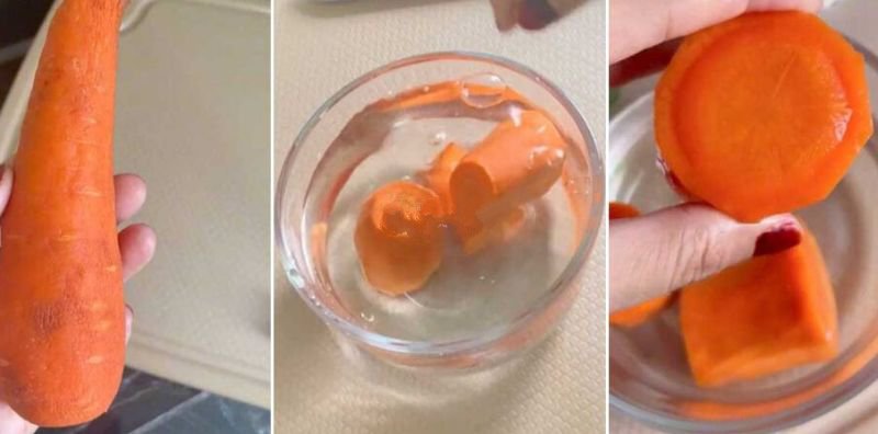 carrot-lembik