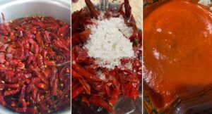 petua-cili-kisar-tahan-lama
